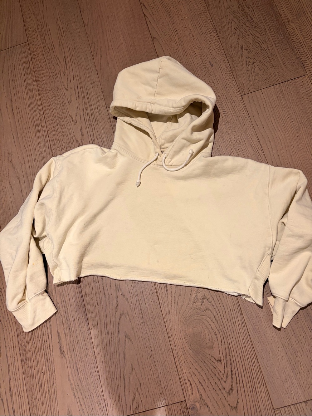 Aritzia TNA Cropped BOYFRIEND Hooded Sweatshirt in Pale Yellow